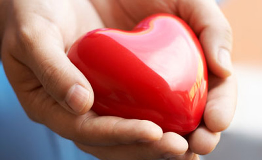 kalp sağlığı ayı 2022 ilçe departmanı çevre sağlığı kalp jefferson wise
